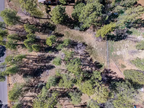 1036 W Apache Ln, Lakeside, AZ 85929 photo 3