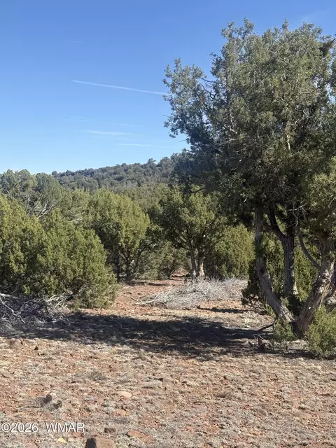 88 N 8714, Concho, AZ 85924