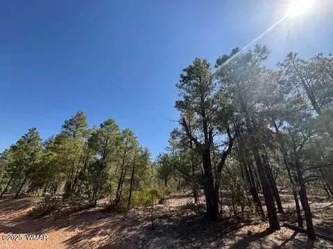 181 S Cliffrose Ln, Show Low, AZ 85901