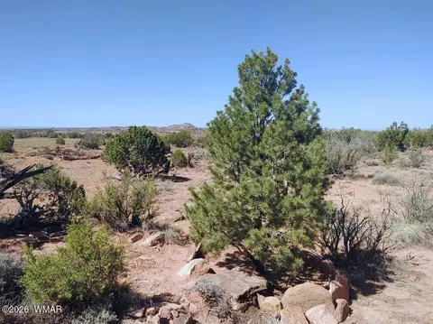 tbd Alamo Ln, Snowflake, AZ 85937 photo 19