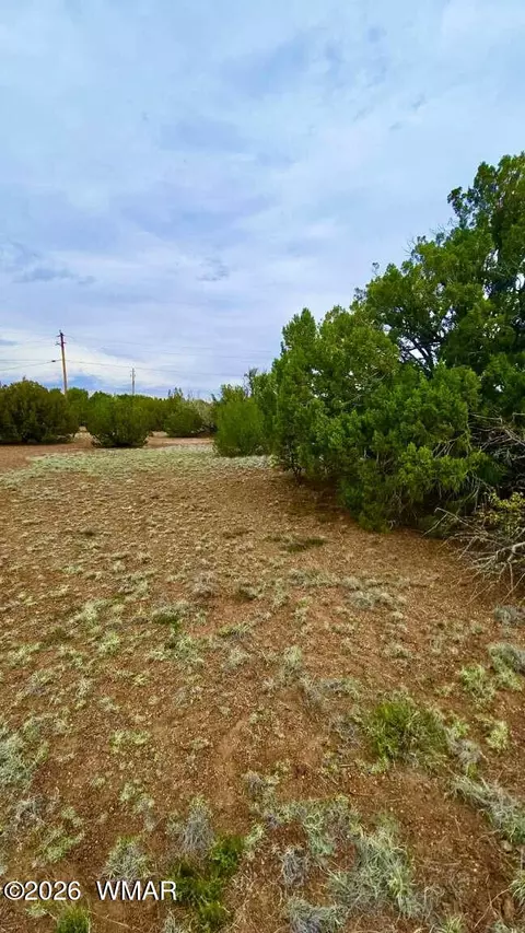 8458 Soto Pl, Show Low, AZ 85901