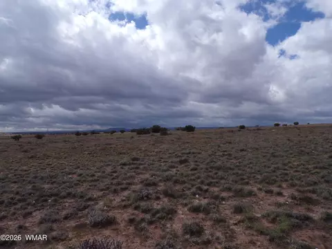 tbd Acr 9040, Concho, AZ 85924 photo 3