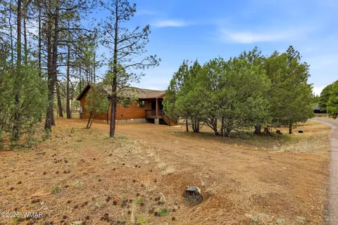 2934 Ransack Rd, Overgaard, AZ 85933 photo 3