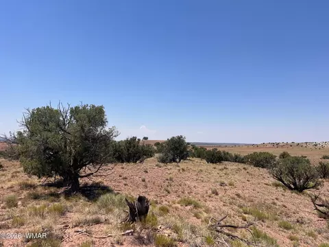 104 N9328, Concho, AZ 85924 photo 6