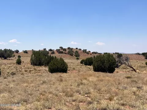 104 N9328, Concho, AZ 85924 photo 18