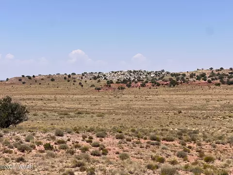 104 N9328, Concho, AZ 85924 photo 14