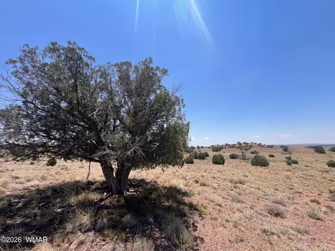 104 N9328, Concho, AZ 85924 photo 20