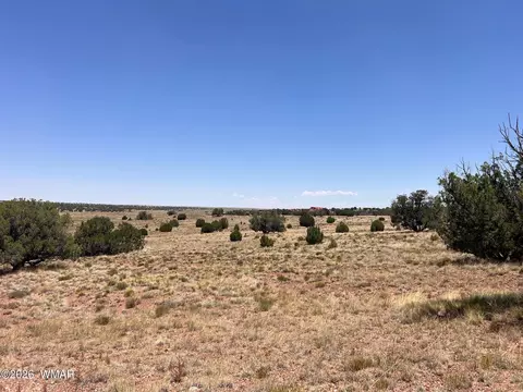 104 N9328, Concho, AZ 85924 photo 11