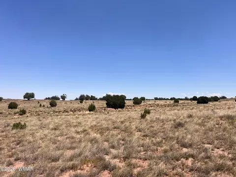 104 N9328, Concho, AZ 85924 photo 8