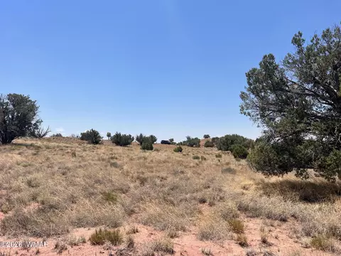 104 N9328, Concho, AZ 85924 photo 9