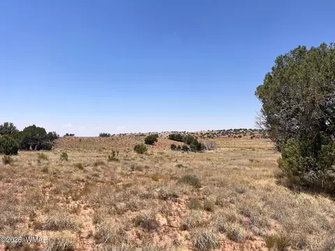 104 N9328, Concho, AZ 85924 photo 10