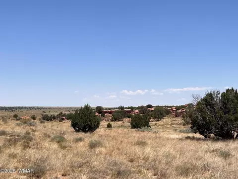 104 N9328, Concho, AZ 85924 photo 13