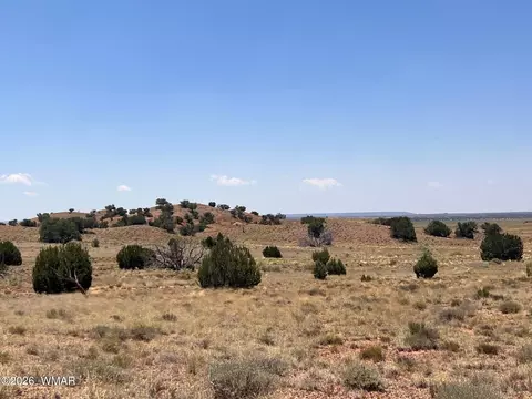 104 N9328, Concho, AZ 85924 photo 19