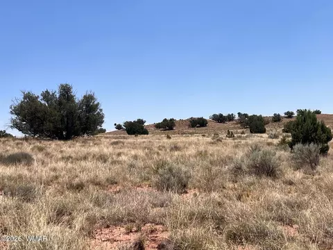 104 N9328, Concho, AZ 85924 photo 17