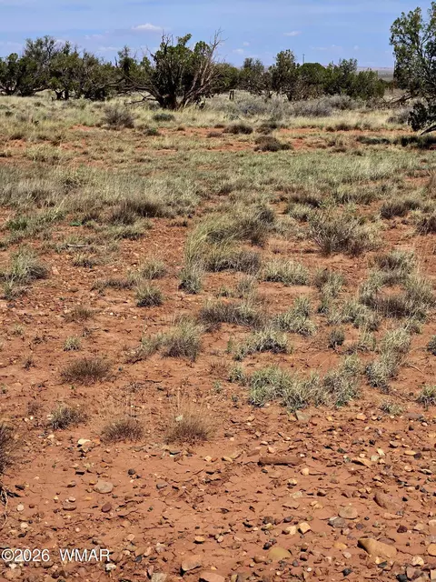 5438 County Line Rd, Snowflake, AZ 85937 photo 7