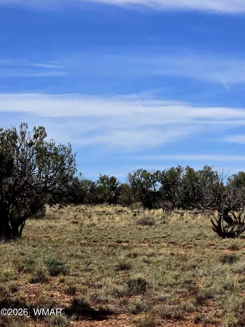 5438 County Line Rd, Snowflake, AZ 85937 photo 4