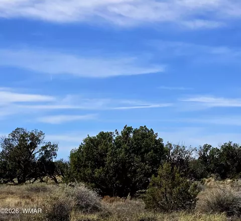 5438 County Line Rd, Snowflake, AZ 85937 photo 2