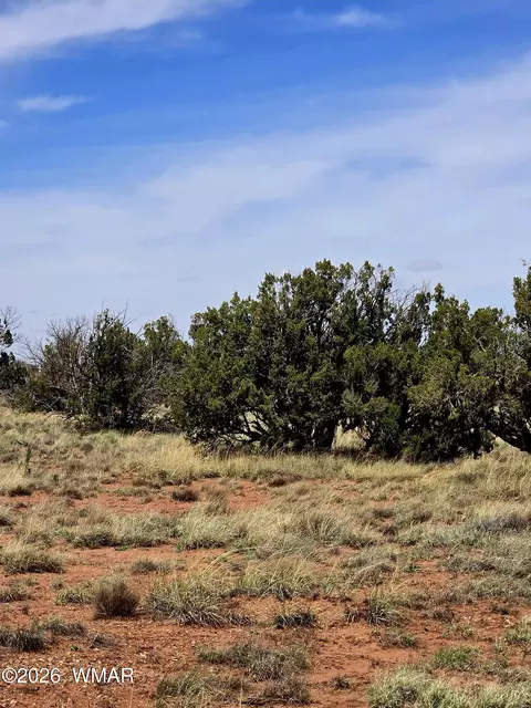 5438 County Line Rd, Snowflake, AZ 85937 photo 3