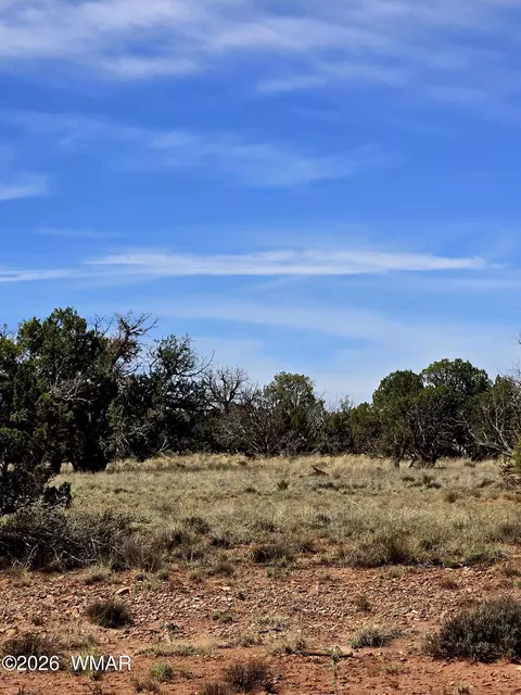 5438 County Line Rd, Snowflake, AZ 85937 photo 8