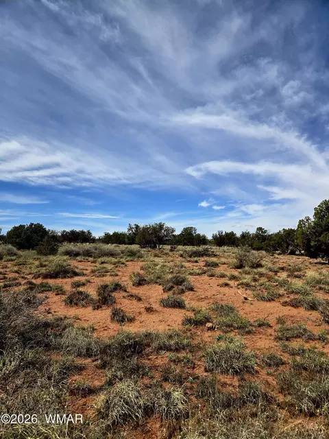 5438 County Line Rd, Snowflake, AZ 85937 photo 6