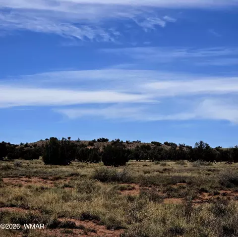 5438 County Line Rd, Snowflake, AZ 85937