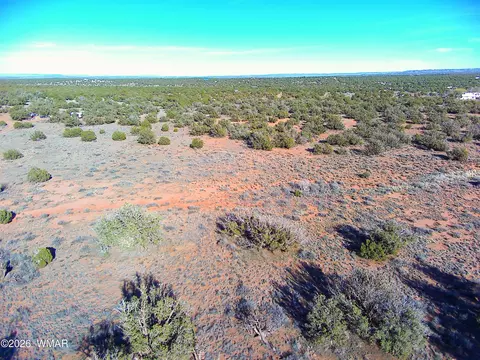 4125 Sorrel Rd, Snowflake, AZ 85937