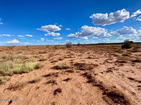7566 Birch Ln, Snowflake, AZ 85937 photo 3