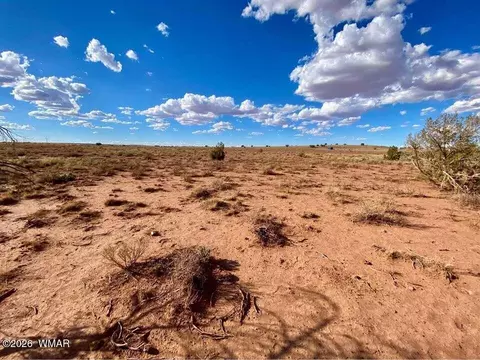 7566 Birch Ln, Snowflake, AZ 85937 photo 14