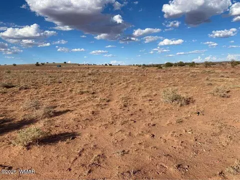 7566 Birch Ln, Snowflake, AZ 85937 photo 11