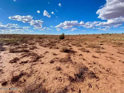 7566 Birch Ln, Snowflake, AZ 85937