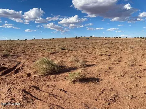7566 Birch Ln, Snowflake, AZ 85937 photo 7