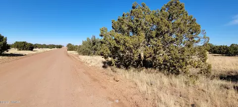 2477 Jay Rd, Show Low, AZ 85901