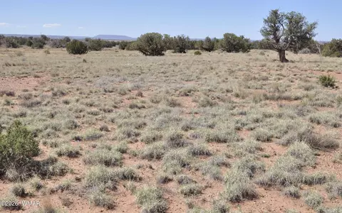 29 N9005 # B, Concho, AZ 85924
