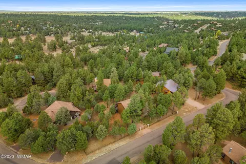 View/Area - 2276 Lindbergh Rd, Overgaard, AZ 85933 photo 3 of 6