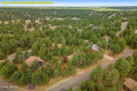 View/Area - 2276 Lindbergh Rd, Overgaard, AZ 85933 photo 6 of 6