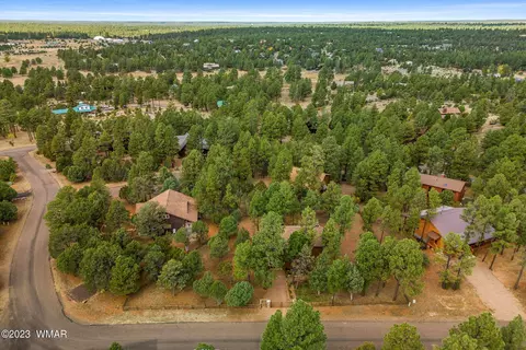 View/Area - 2276 Lindbergh Rd, Overgaard, AZ 85933 photo 4 of 6