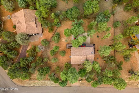 View/Area - 2276 Lindbergh Rd, Overgaard, AZ 85933 photo 1 of 6