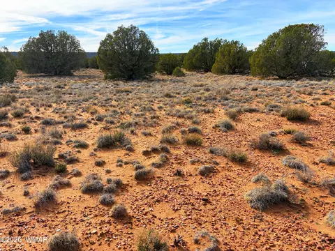 4039 Indian Bend Rd, Snowflake, AZ 85937 photo 17