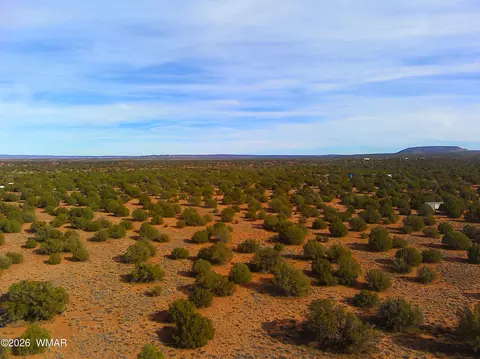 4039 Indian Bend Rd, Snowflake, AZ 85937 photo 3