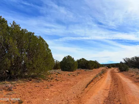 4039 Indian Bend Rd, Snowflake, AZ 85937 photo 22