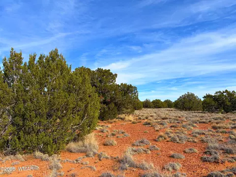 4039 Indian Bend Rd, Snowflake, AZ 85937 photo 15