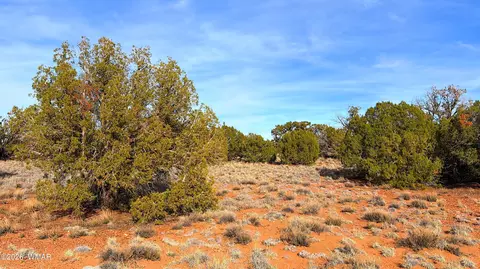 4039 Indian Bend Rd, Snowflake, AZ 85937 photo 23
