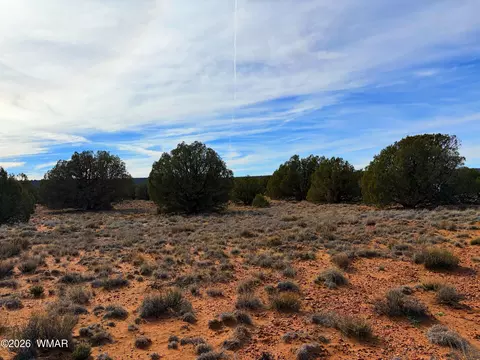 4039 Indian Bend Rd, Snowflake, AZ 85937 photo 16