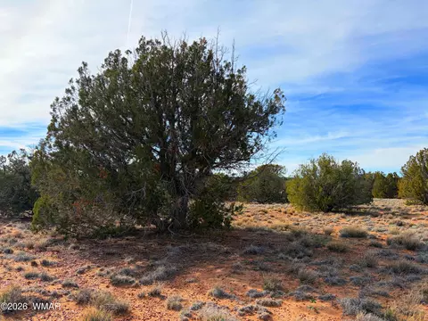 4039 Indian Bend Rd, Snowflake, AZ 85937 photo 12