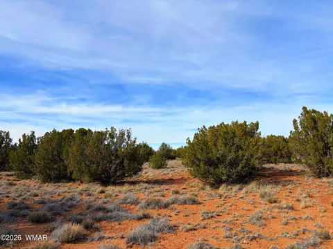 4039 Indian Bend Rd, Snowflake, AZ 85937 photo 14
