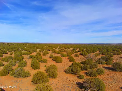 4039 Indian Bend Rd, Snowflake, AZ 85937 photo 6