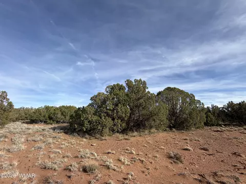 4039 Indian Bend Rd, Snowflake, AZ 85937 photo 25