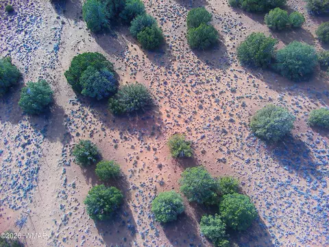 4039 Indian Bend Rd, Snowflake, AZ 85937 photo 9