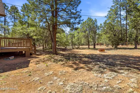 2877 Wahoo Rd, Overgaard, AZ 85933 photo 3