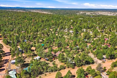 2877 Wahoo Rd, Overgaard, AZ 85933 photo 35